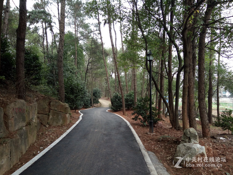 #够快才畅快# 德智体美全面发展-VIVO X6使用体验谈（5.拍照体验）