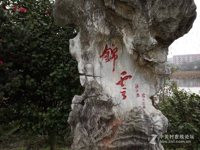 #够快才畅快# 德智体美全面发展-VIVO X6使用体验谈（5.拍照体验）