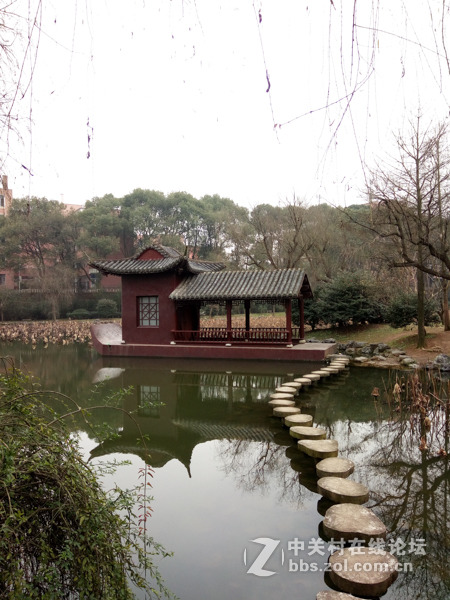 #够快才畅快# 德智体美全面发展-VIVO X6使用体验谈（5.拍照体验）