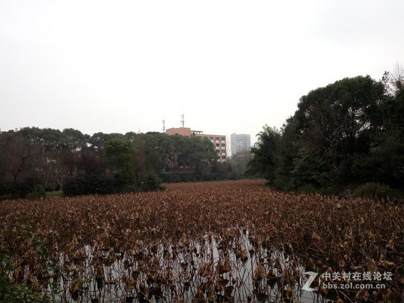 #够快才畅快# 德智体美全面发展-VIVO X6使用体验谈（5.拍照体验）