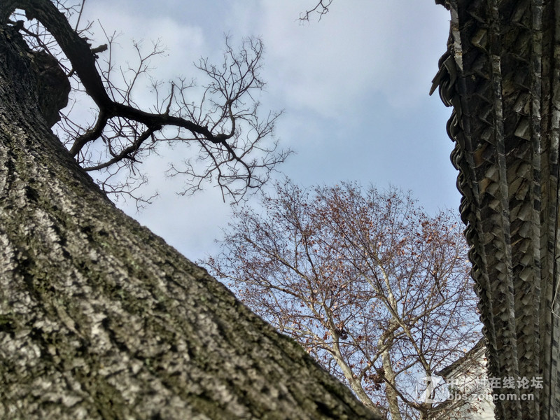 #够快才畅快# 德智体美全面发展-VIVO X6使用体验谈（5.拍照体验）