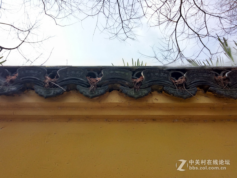 #够快才畅快# 德智体美全面发展-VIVO X6使用体验谈（5.拍照体验）