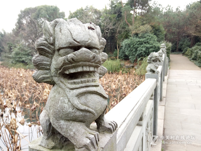 #够快才畅快# 德智体美全面发展-VIVO X6使用体验谈（5.拍照体验）