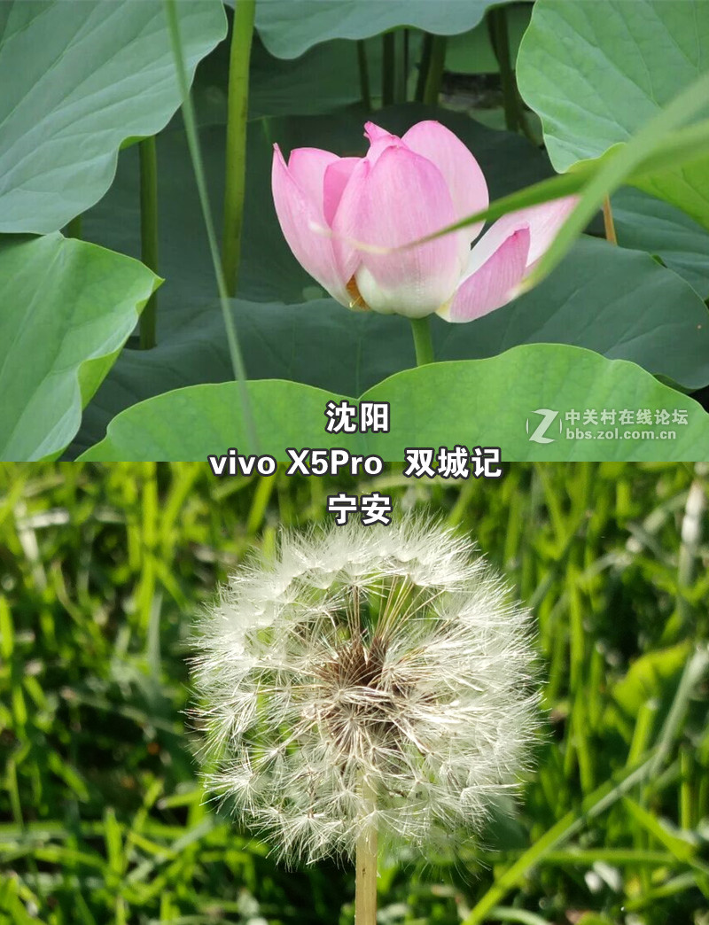 #最美双城记，X5Pro极夜黑试用#不同的城市，X5Pro带来同样的精彩