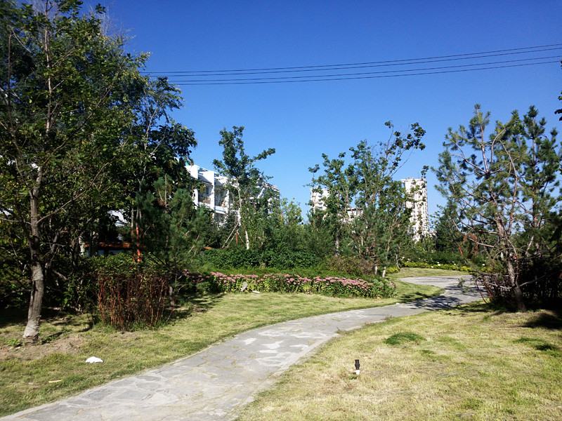 #最美双城记，X5Pro极夜黑试用#不同的城市，X5Pro带来同样的精彩