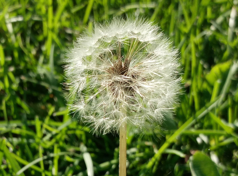 #最美双城记，X5Pro极夜黑试用#不同的城市，X5Pro带来同样的精彩