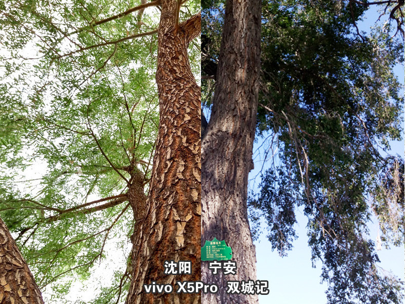 #最美双城记，X5Pro极夜黑试用#不同的城市，X5Pro带来同样的精彩