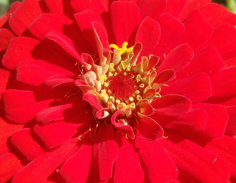 #最美双城记，X5Pro极夜黑试用#不同的城市，X5Pro带来同样的精彩