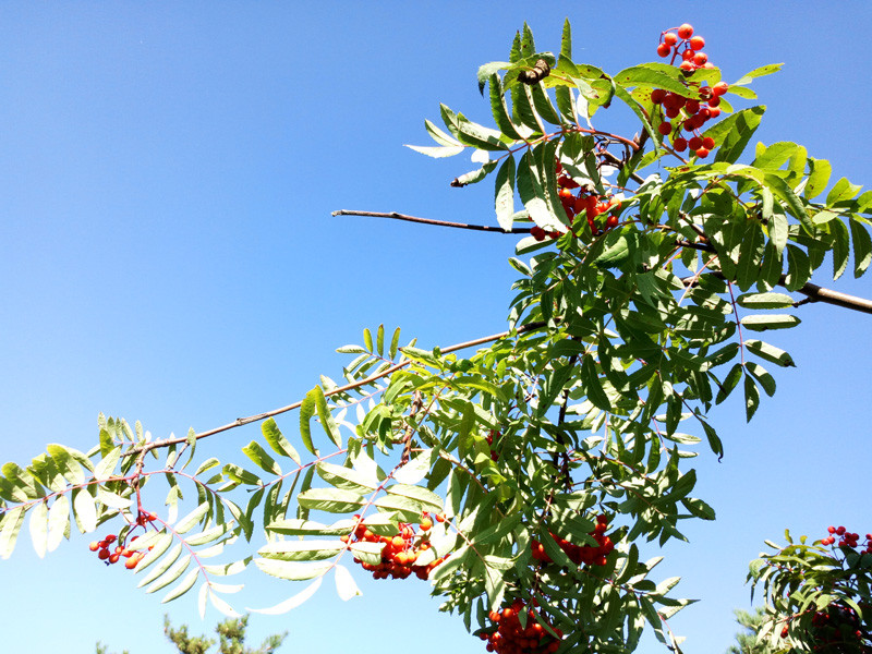 #最美双城记，X5Pro极夜黑试用#不同的城市，X5Pro带来同样的精彩