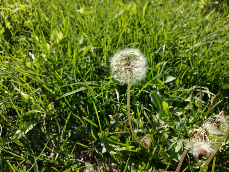 #最美双城记，X5Pro极夜黑试用#不同的城市，X5Pro带来同样的精彩