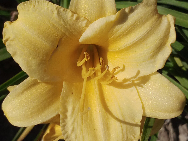 #最美双城记，X5Pro极夜黑试用#不同的城市，X5Pro带来同样的精彩