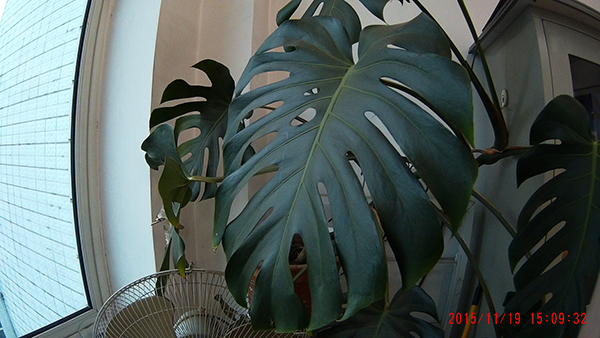 快译通Abee M6高清行车记录仪之三——简单拍照