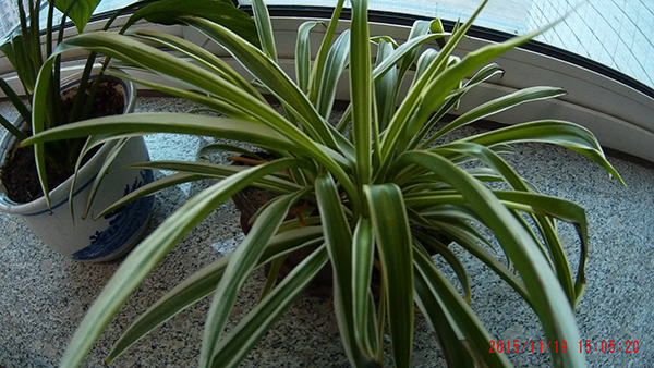 快译通Abee M6高清行车记录仪之三——简单拍照