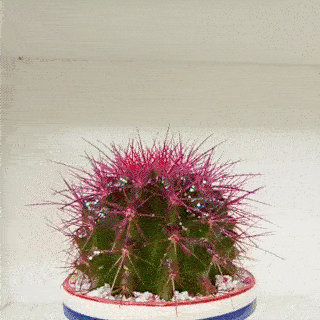 ＃魅族PRO 6s试用＃不断完善的Flyme OS，出色的体验感受。