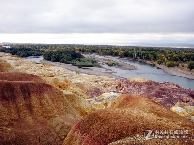 新疆秋色20150827