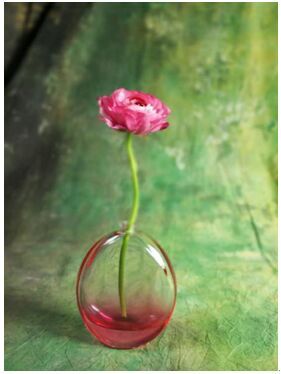 荣耀6 Plus降价太猛，你剁手了吗？