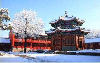 荣耀6 Plus降价太猛，你剁手了吗？