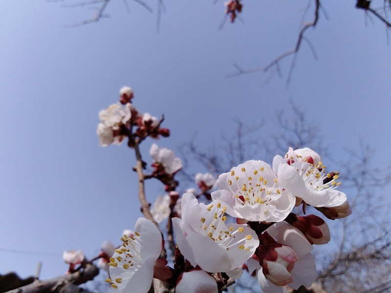 【板块开荒】999元荣耀畅玩7A普及旗舰高科技，全面屏、人脸解锁、双摄样样有