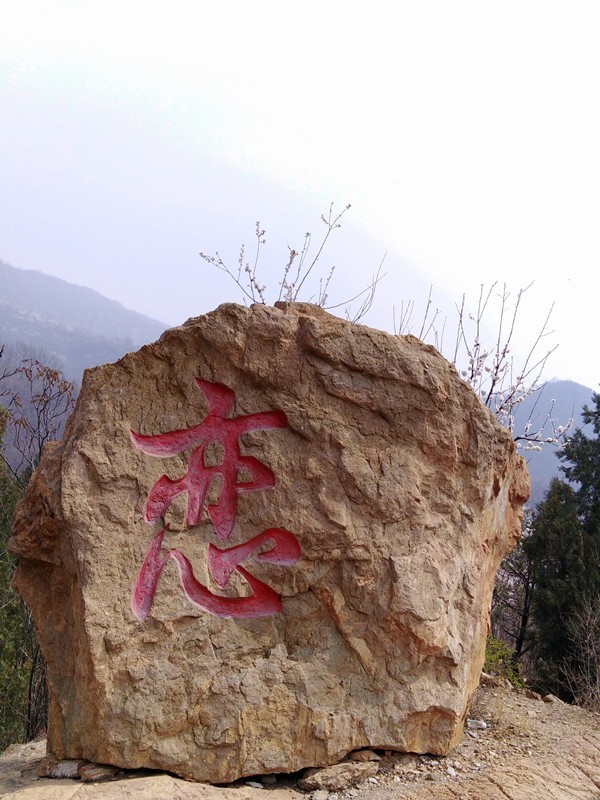 【板块开荒】999元荣耀畅玩7A普及旗舰高科技，全面屏、人脸解锁、双摄样样有