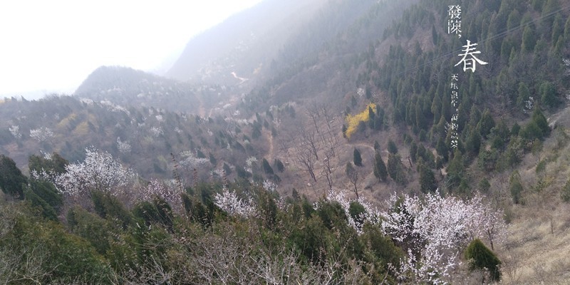 【板块开荒】999元荣耀畅玩7A普及旗舰高科技，全面屏、人脸解锁、双摄样样有