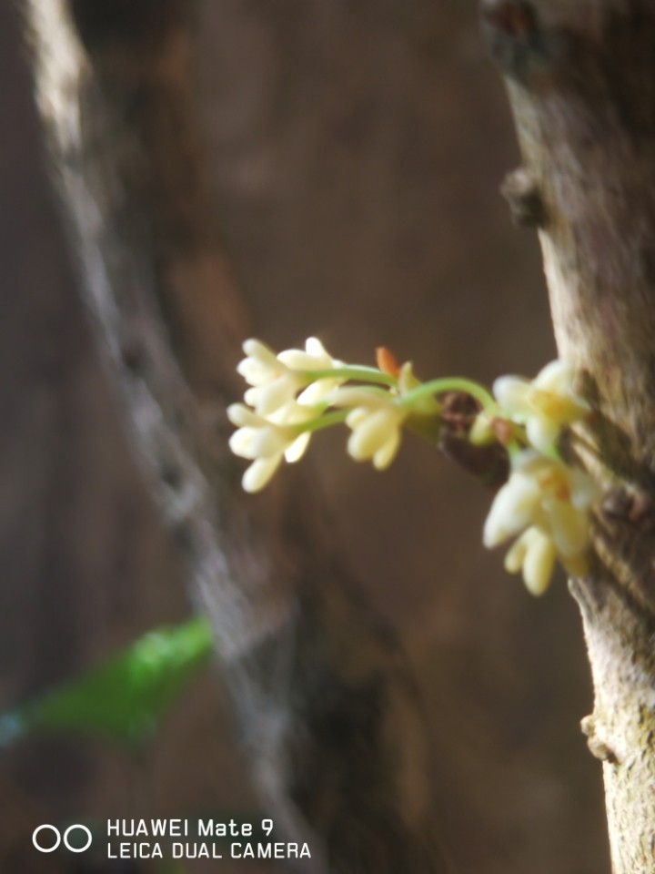 “负优化”的结果，感同身受。