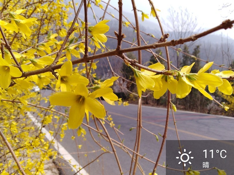 【板块开荒】999元荣耀畅玩7A普及旗舰高科技，全面屏、人脸解锁、双摄样样有