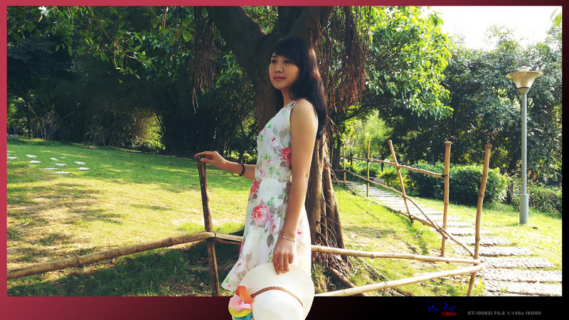 荷塘偶遇--婵儿 星空体育平台GT-i9082i