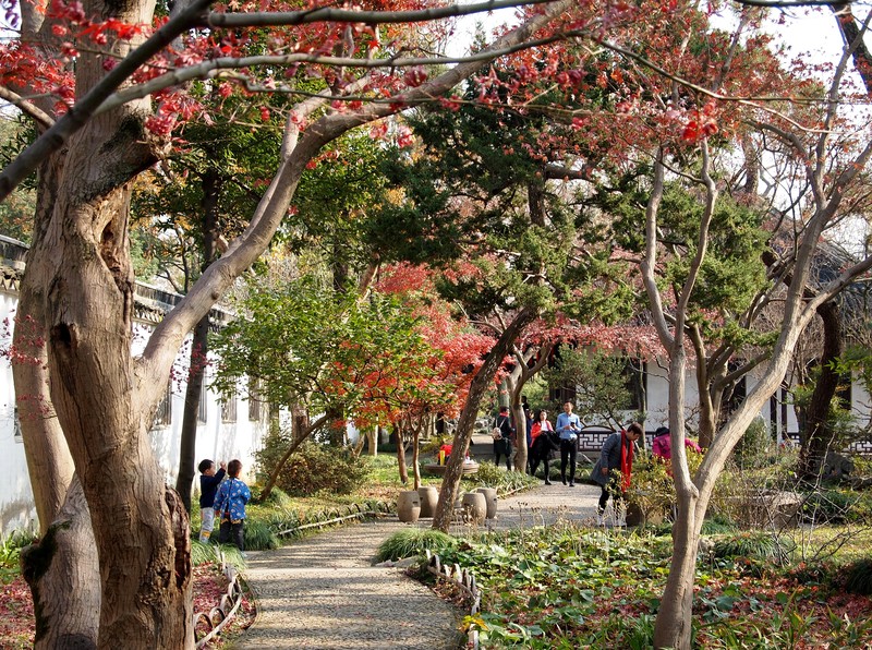 苏州影像     园林   拙政园