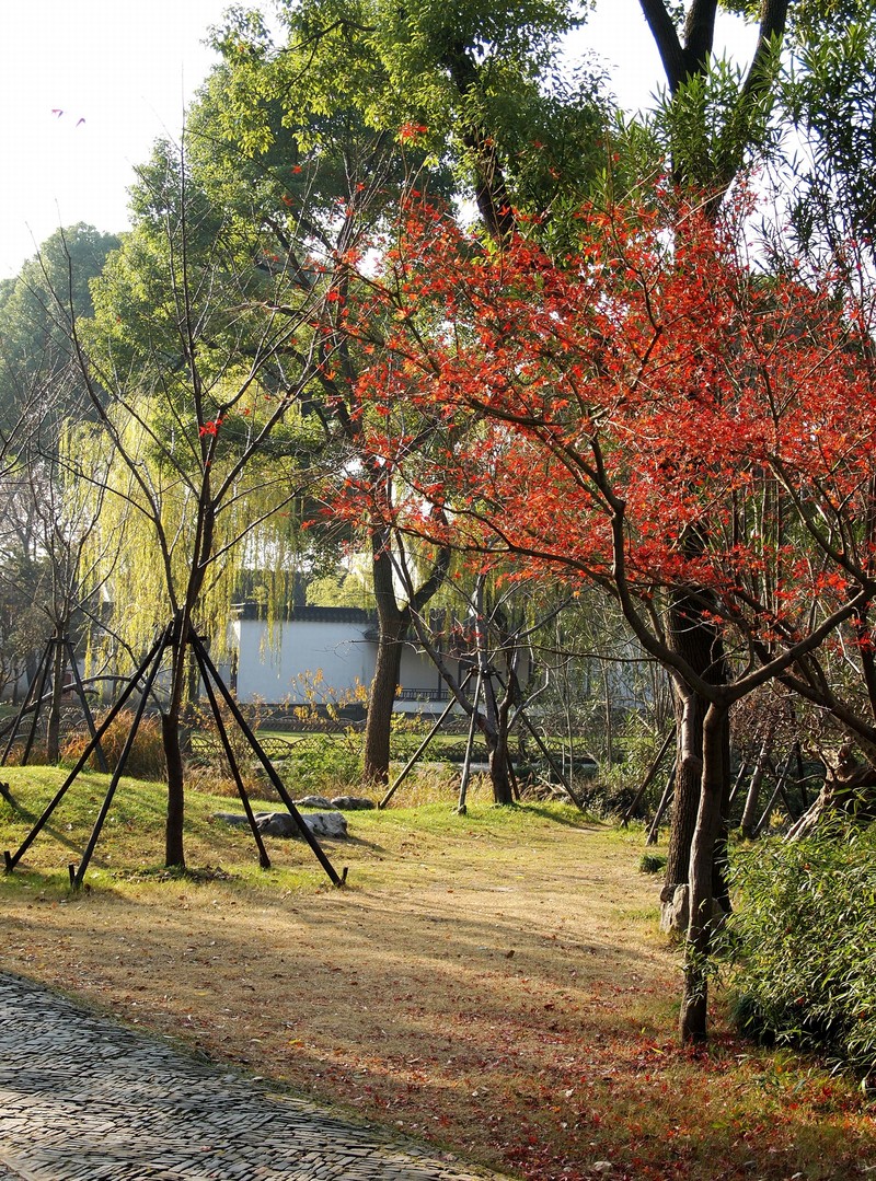 苏州影像     园林   拙政园