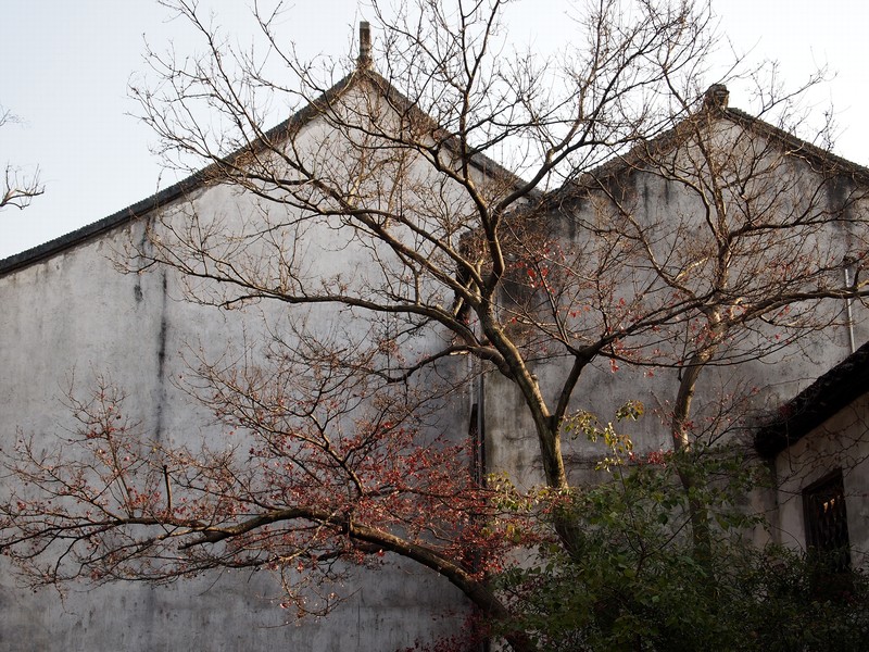 苏州影像     园林   拙政园