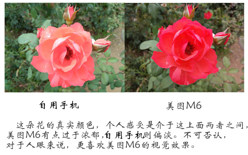 #自拍大明星美图M6#——专业美颜  自拍神器