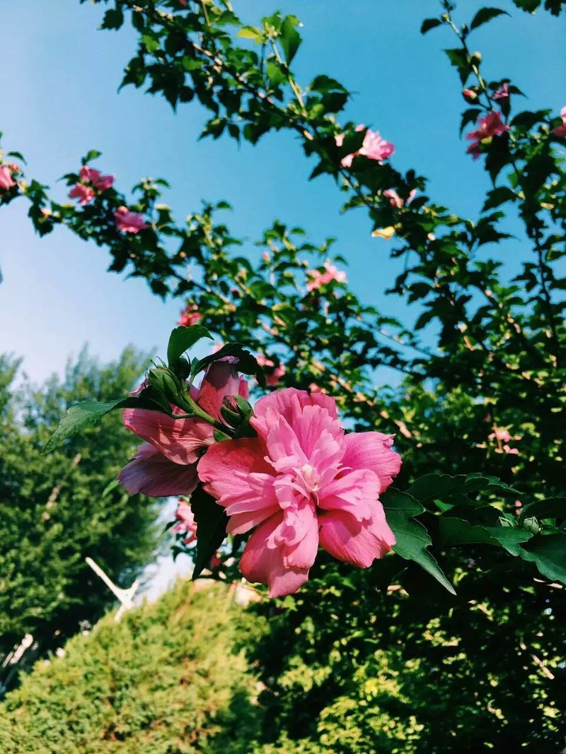 让科技诗意的栖居：魅族Pro6s诗意评测