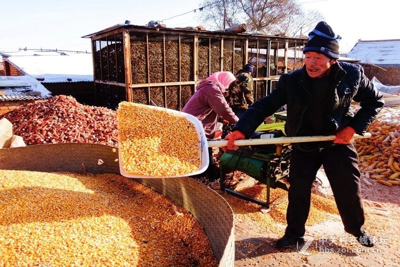 农家小院欢乐多