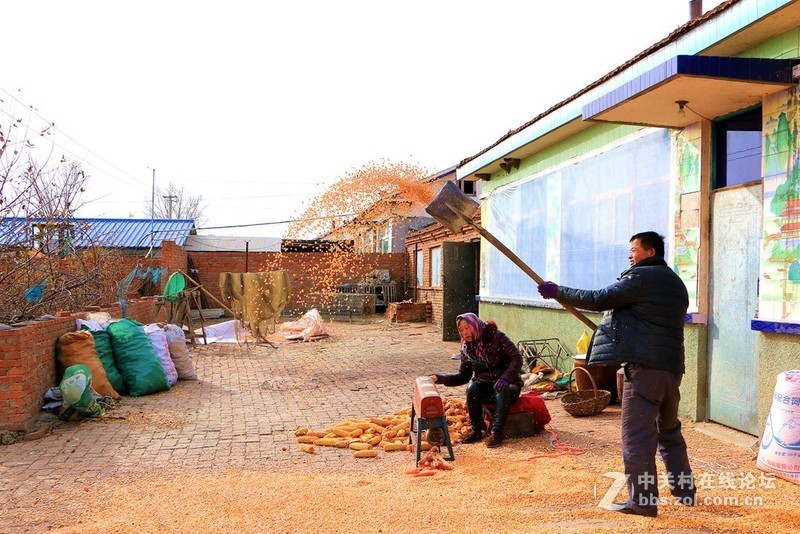 农家小院欢乐多