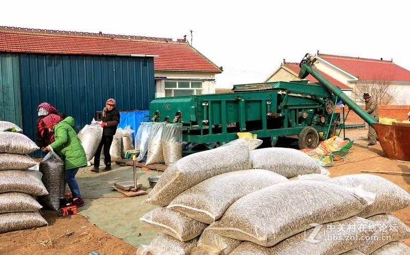 农家小院欢乐多