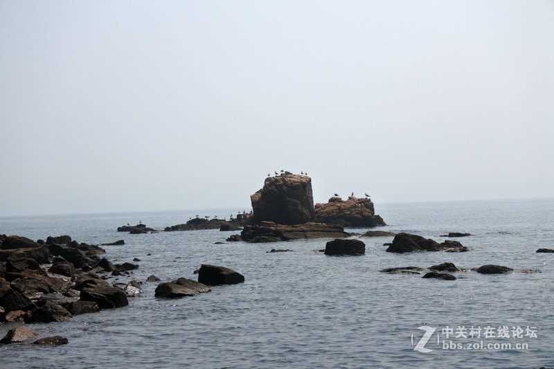 2016年7月29日---31日我们18人到威海，鸡鸣岛摄影，，，