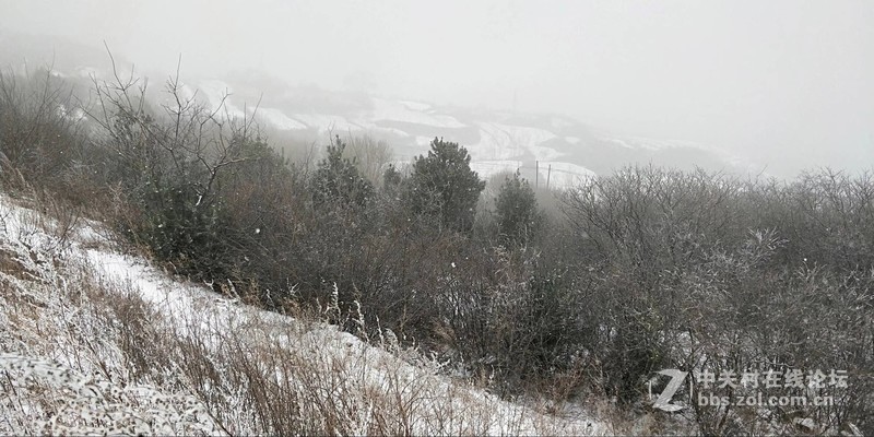 这白白浅浅的初雪，才是入冬的正式仪式