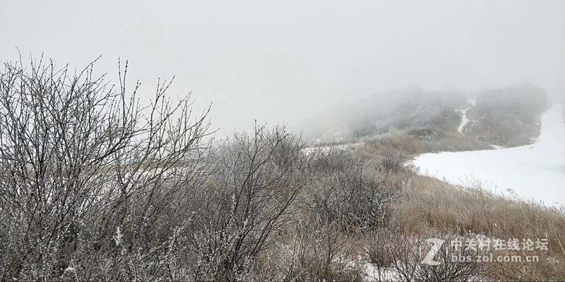 这白白浅浅的初雪，才是入冬的正式仪式