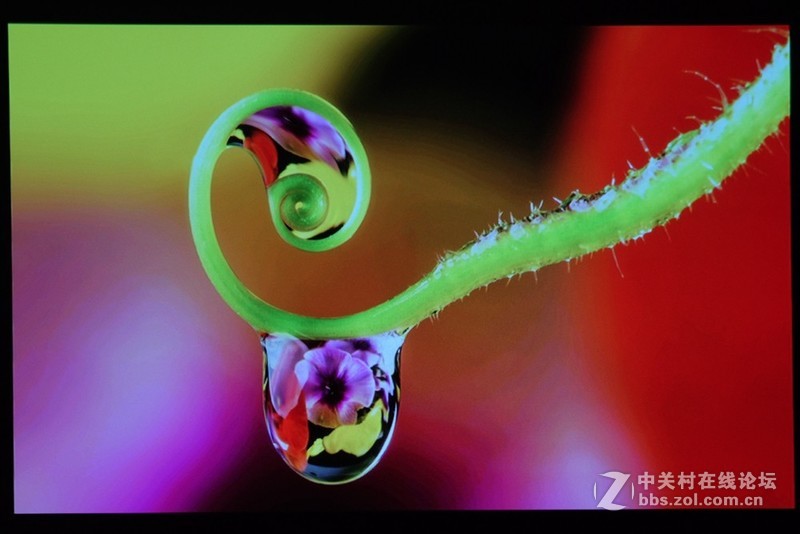 当世界杯遇上3000元档的4D自动梯形校正投影