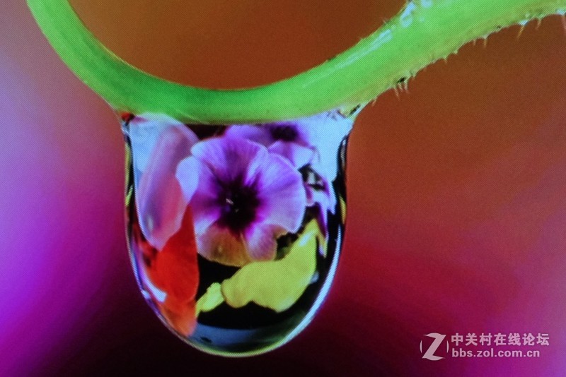 当世界杯遇上3000元档的4D自动梯形校正投影