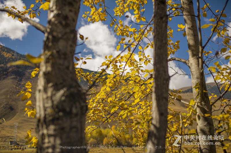 醉美（新都桥=巴郎山)