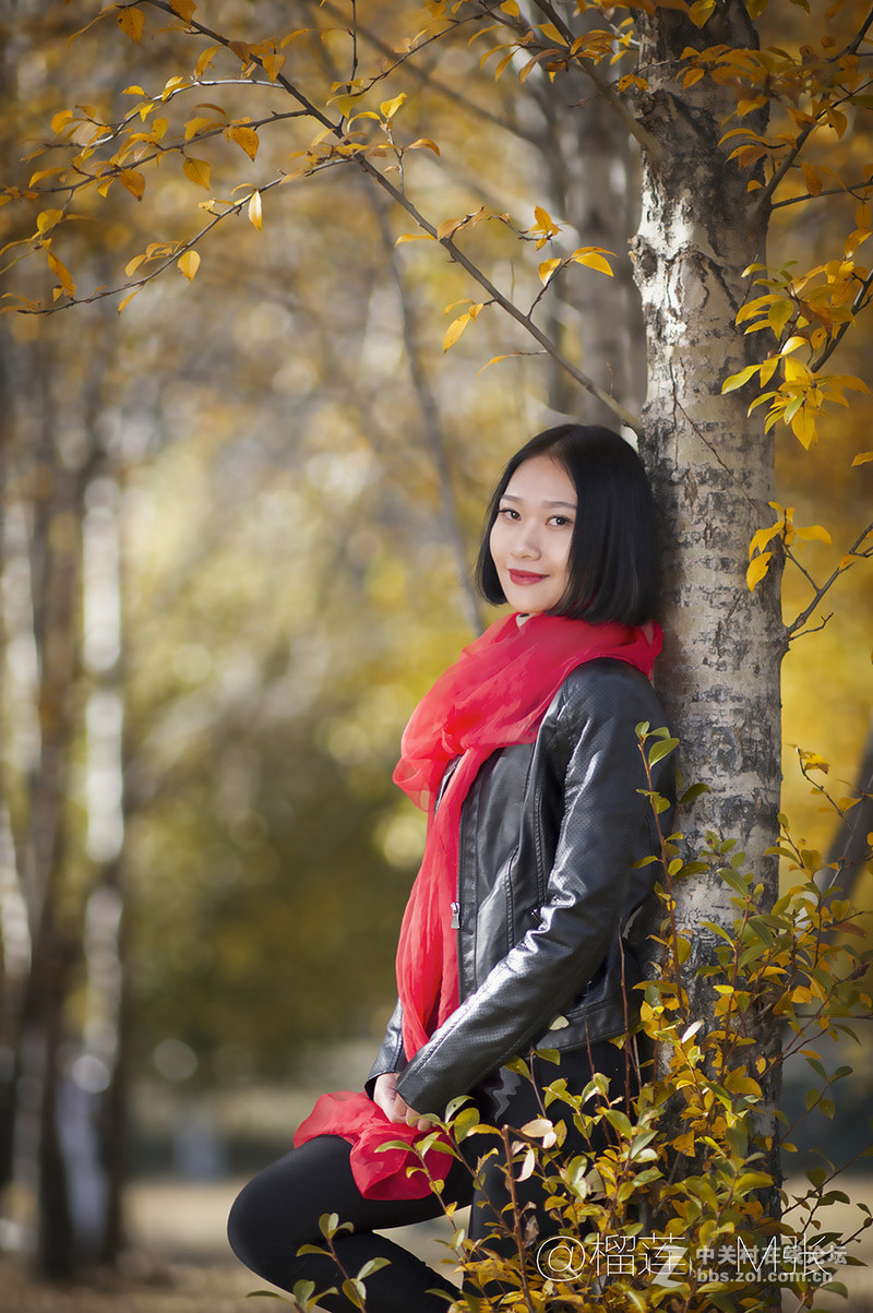 醉美（新都桥=巴郎山)