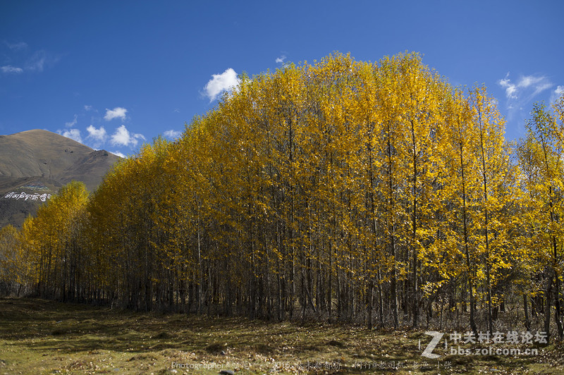 醉美（新都桥=巴郎山)