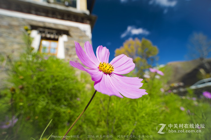醉美（新都桥=巴郎山)