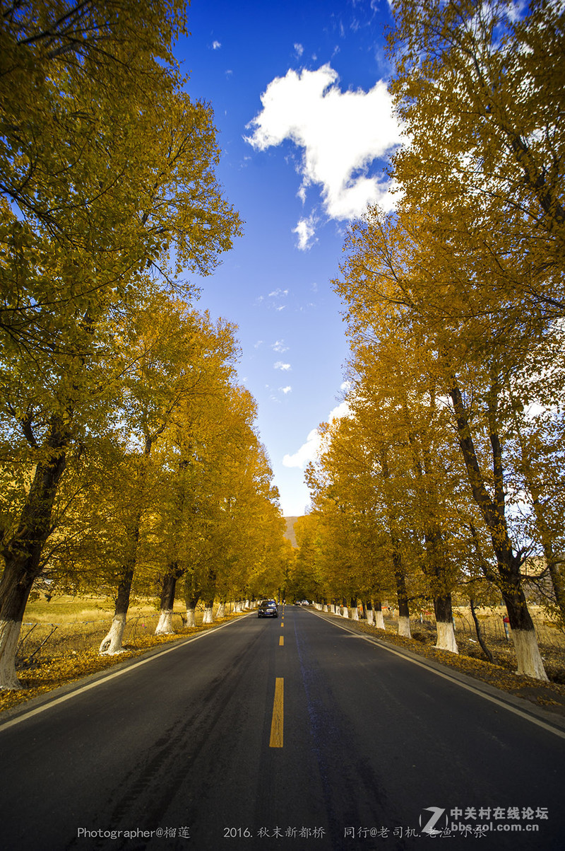 醉美（新都桥=巴郎山)