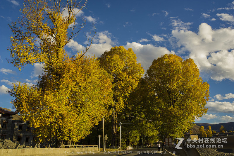 醉美（新都桥=巴郎山)