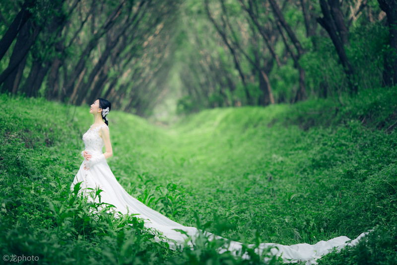 龙photo  《135L 练习贴 》