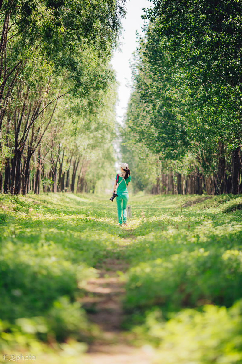 龙photo  《135L 练习贴 》