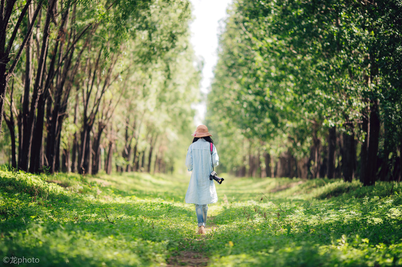 龙photo  《135L 练习贴 》