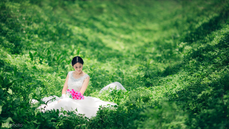 龙photo  《135L 练习贴 》